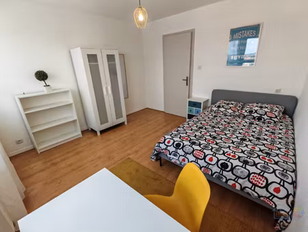 colocation strasbourg - 1 chambre de 14 26m2 au sein d'un appart