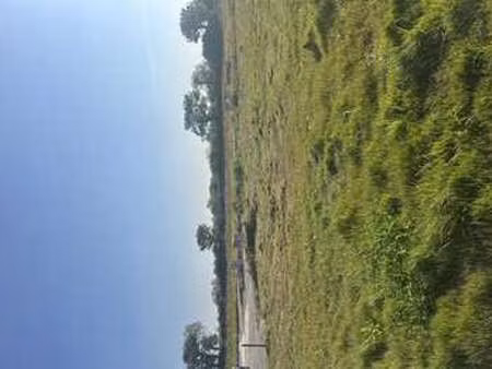 vente terrain à bourg-blanc (29860) : à vendre / bourg-blanc
