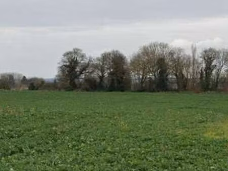 vente terrain à notre-dame-du-guildo (22380) : à vendre / notre-dame-du-guildo