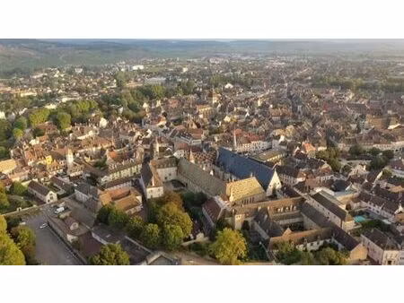 prestigieux immeuble de rapport en vente à beaune  bourgogne-franche-comté
