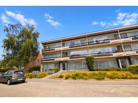 appartement te huur in ranst met 2 slaapkamers