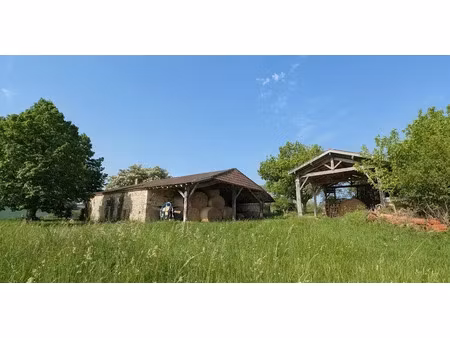 vente maison 300 m² à villeneuve-sur-lot (47300)  109 900 €