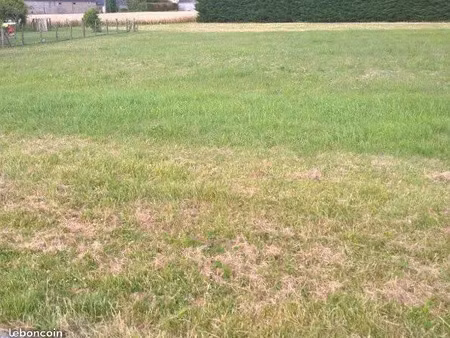vente maison neuve 5 pièces 120 m² à cravant-les-côteaux (37500)  208 470 €