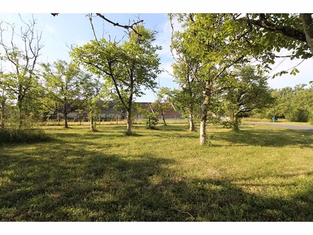 vente maison neuve 5 pièces 83 m² à selommes (41100)  170 735 €