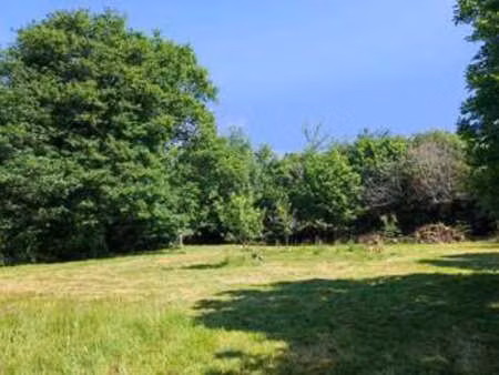vente terrain à camors (56330) : à vendre / 900m² camors