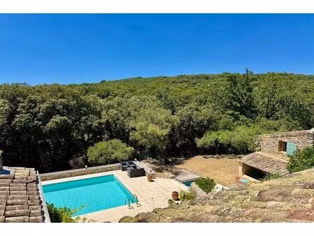 mas de caractère avec maison d'amis  piscine et vue panoramique
