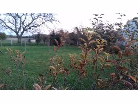 vente maison neuve 6 pièces 110 m² à nanteau-sur-lunain (77710)  288 537 €
