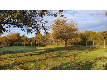 vente maison neuve 5 pièces 129 m² à lignières-de-touraine (37130)  309 361 €