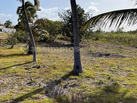 achat terrain 504m² petit canal 97131