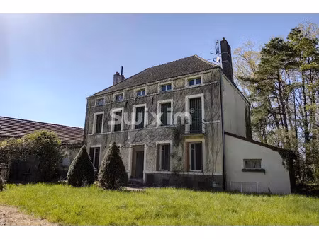 vente manoir 7 pièces 212 m² à saint-jean-de-losne (21170)  320 000 €