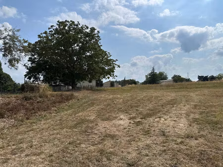 vente terrain 1597 m² rauzan (33420)