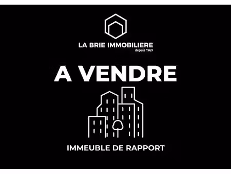 vente immeuble 12 pièces