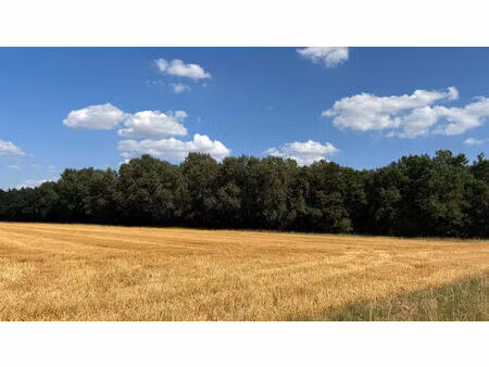 achat terrain 345 621m²