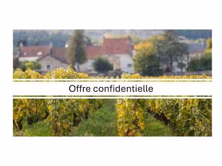 maison avec piscine et terrasse meursault (21)