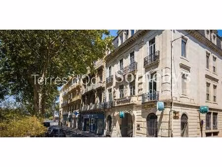 appartement narbonne (11)