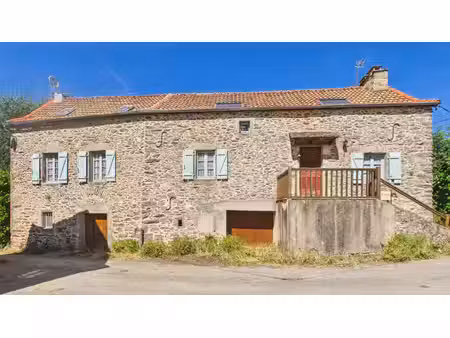 maison en pierre avec jardin calme  charme et beau potentiel d'aménagement