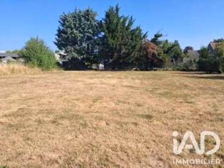 vente terrain à saint-branchs (37320) : à vendre / 1185m² saint-branchs