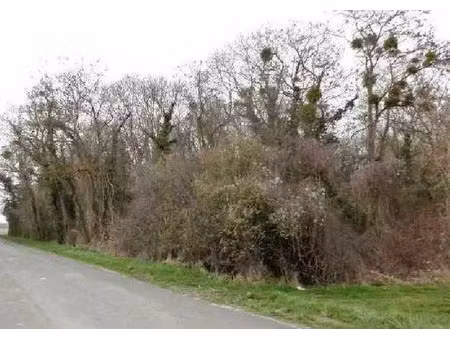 vente terrain 1495 m² montjavoult (60240)