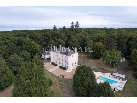 château à vendre à vierzon