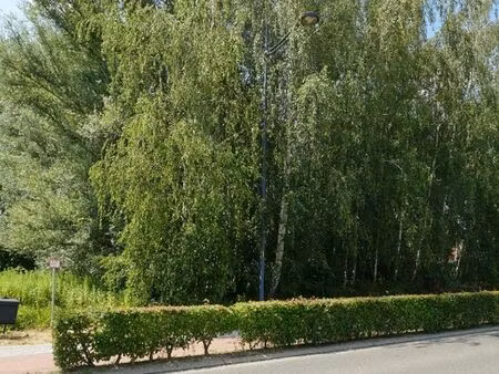 terrain à vendre à tremelo € 199.000 (lqifi) - winston schoeters | zimmo