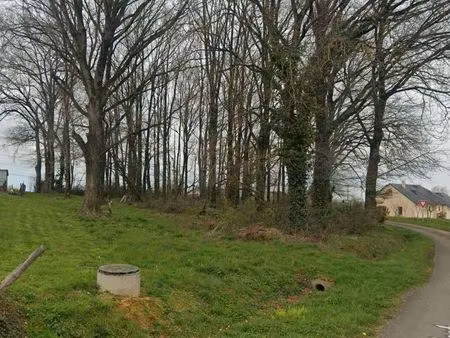 terrain constructible