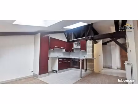 loft/atelier/surface 1 pièce 55 m²