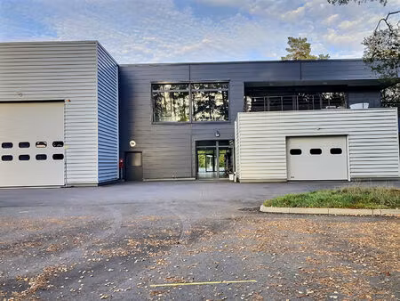 magnifique open space 300m² -saint -avold