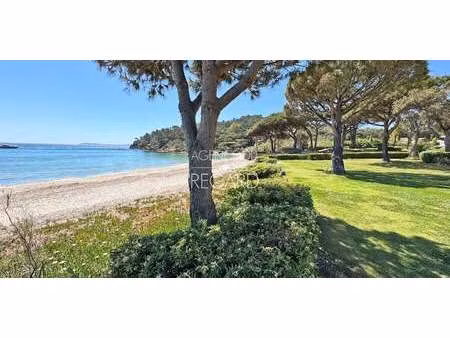 appartement avec piscine en bord de mer le lavandou (83)