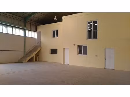 location local d’activités vienne 38200 350m²