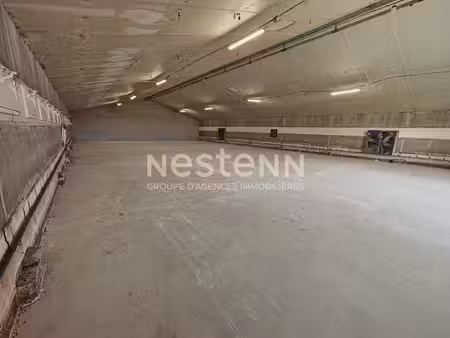 belle opportunité! ensemble de 4 cellules d'activités; 2 000 m² sur terrain de 8 000 m²