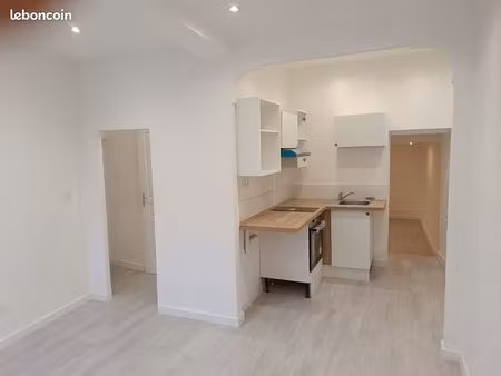 t3 rénové à neuf centre-ville apt
