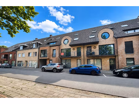 appartement à louer à sint-jozefsplein 42 tessenderlo (rbw52893)
