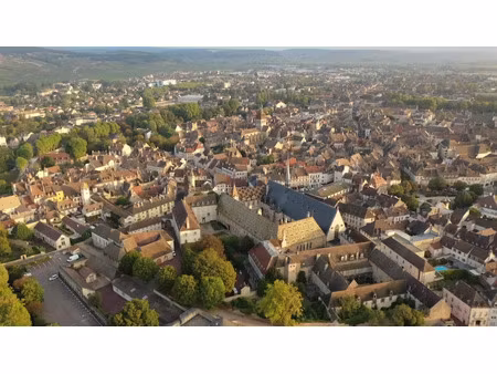 vente appartement 350 m² à beaune (21200)  997 000 €