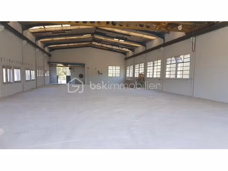 vente locaux professionnels 4 pièces 900 m² à aussillon (81200)  200 000 €
