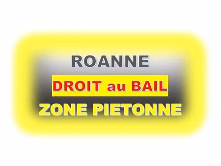 vente locaux professionnels 55 m² à roanne (42300)  89 000 €
