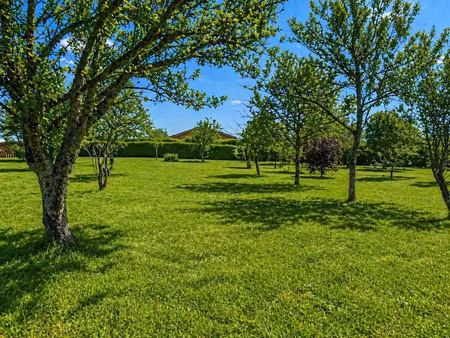 vente terrain 1250 m² à mensignac (24350)  30 000 €