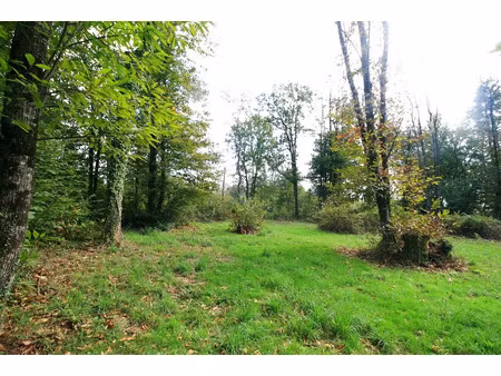 vente terrain 3200 m² à plazac (24580)  65 000 €