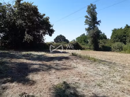 vente terrain à batir 1330 m² à bourg sur gironde (33710)  60 000 €