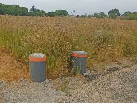 vente terrain 300 m² à saint-père-en-retz (44320)  67 200 €