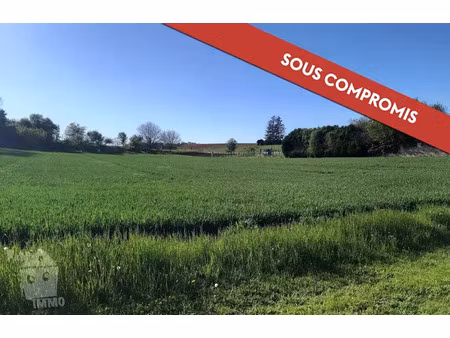vente terrain à batir 3946 m² à gézoncourt (54380)  75 600 €