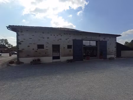 vente locaux professionnels 0 pièces 263 m² à esse (16500)  175 360 €