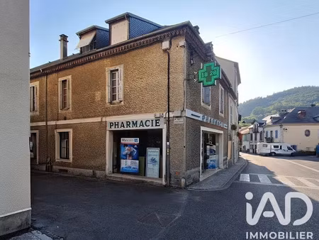 vente locaux professionnels 0 pièces 107 m² à saint-pé-de-bigorre (65270)  200 000 €