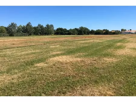vente terrain 260 m² à legé (44650)  41 500 €