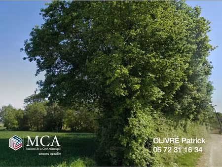 vente terrain 1123 m² à tesson (17460)  42 500 €
