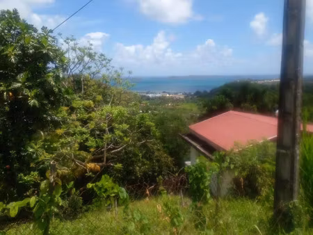 vente terrain 736 m² le robert (97231)