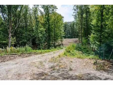 terrain à bâtir de 6.635 m² au cœur du domaine de la forêt