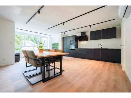 spacieux et lumineux appart 1 ch avec garage