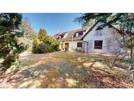 paty immobilier