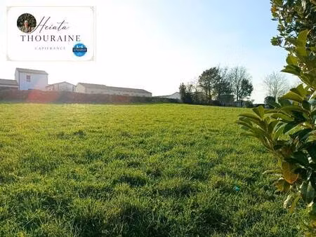 thouraine heiata capifrance