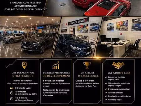 vente locaux professionnels 0 pièces 800 m² à macon (71000)  1 300 000 €